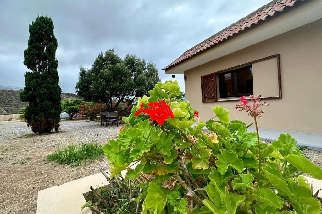 Villa Peaceful Oasis With Magical Sea Views And A Pool Santa Cruz de Tenerife Exterior foto